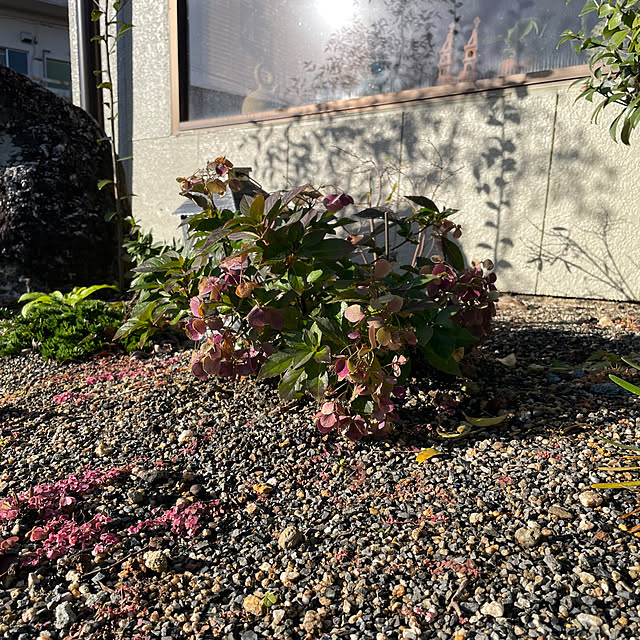 shin0719さんの部屋