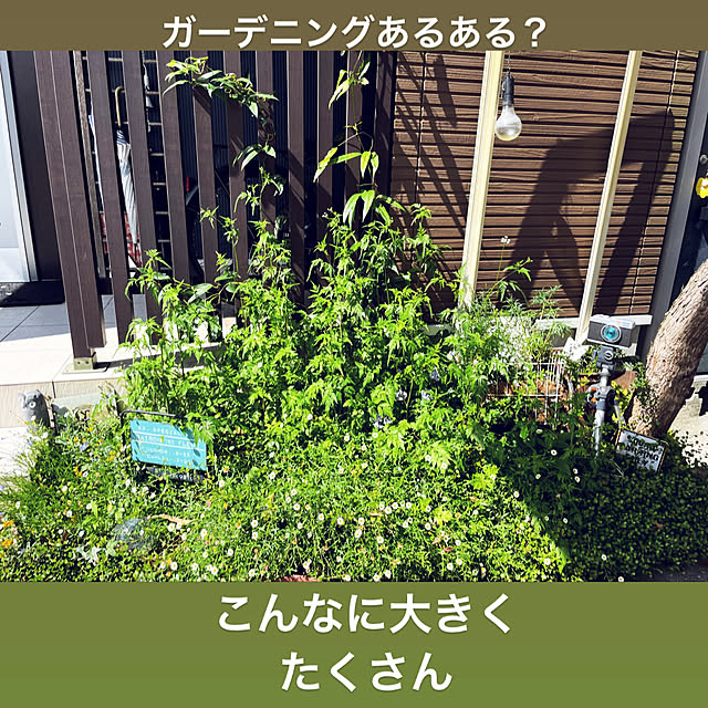 mayumiさんの実例写真
