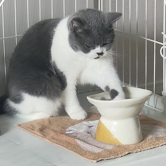 KEIKOさんの実例写真