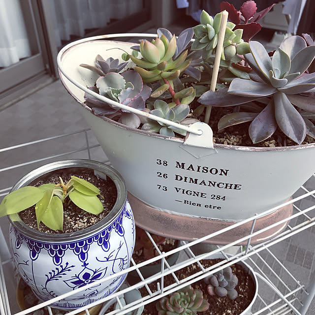 miyamiyaさんの実例写真