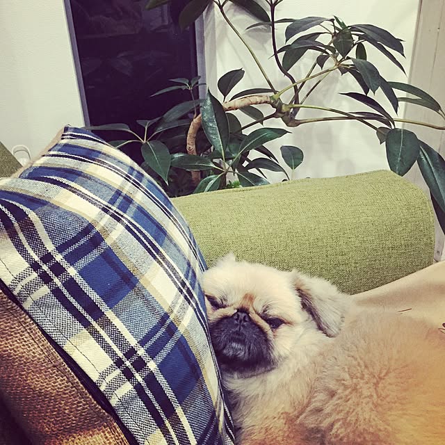 Eijiさんの実例写真