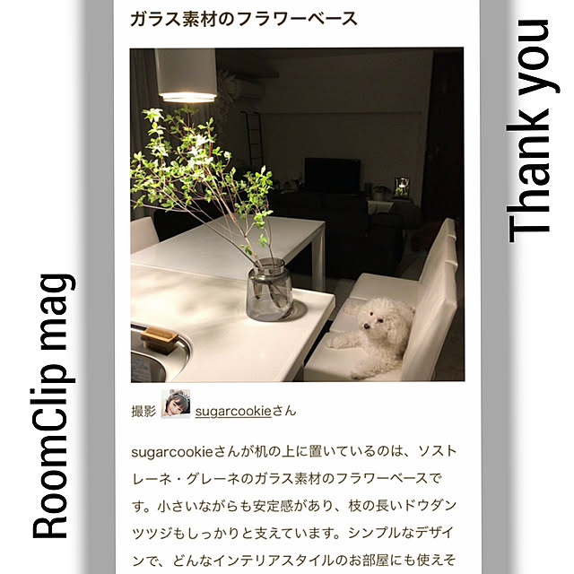 sugarcookieさんの実例写真