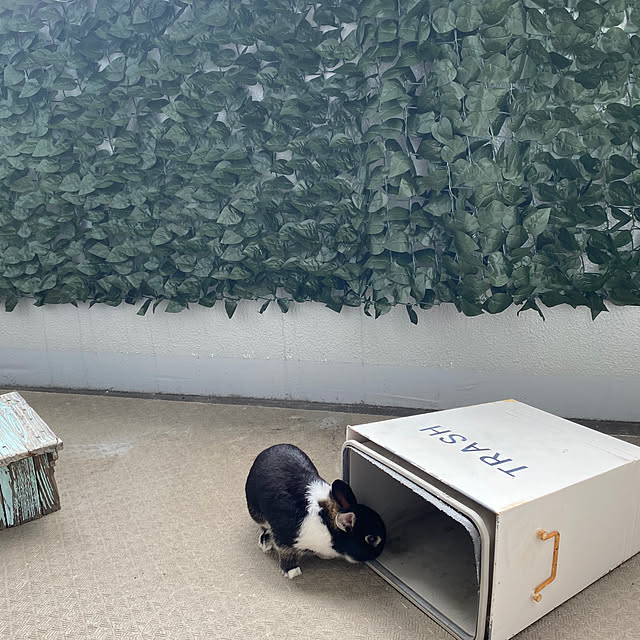 lanaさんの部屋