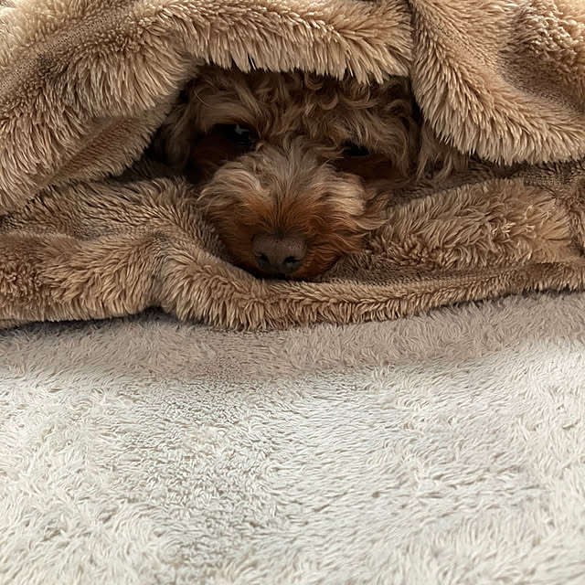 sachicoさんの実例写真