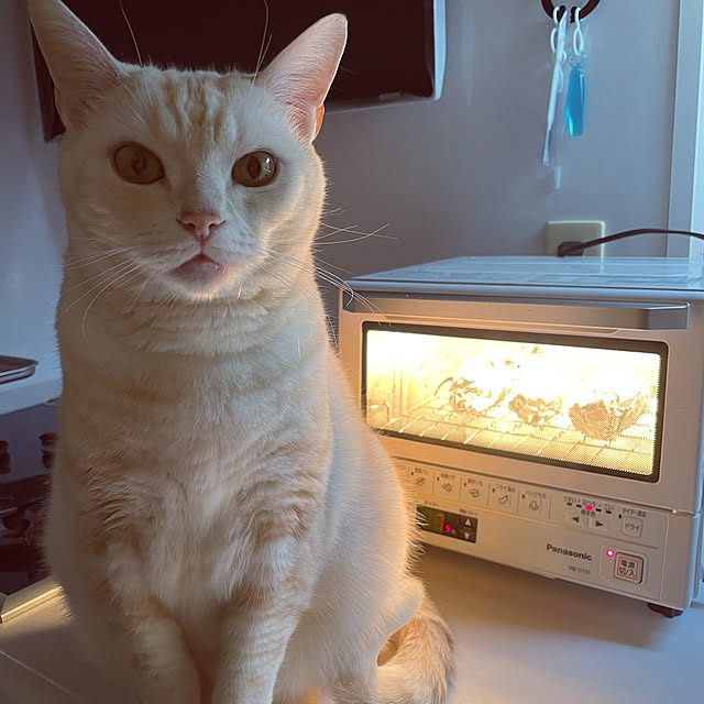 hiyupan88さんの実例写真