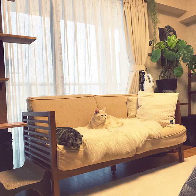 hiyupan88さんの実例写真
