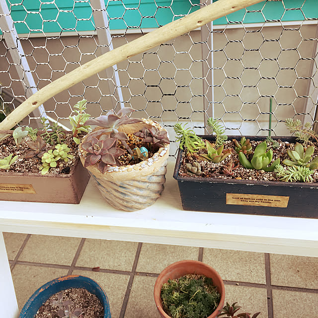 Tさんの実例写真