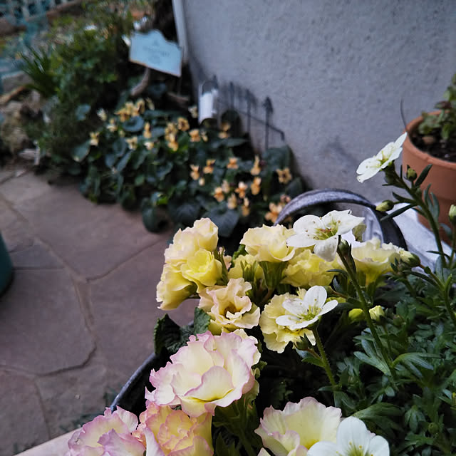 yukkoさんの実例写真