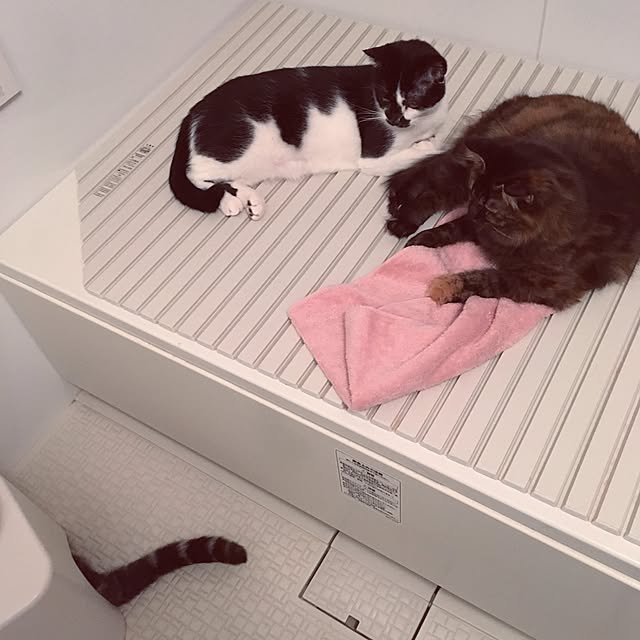 mikomaruさんの実例写真