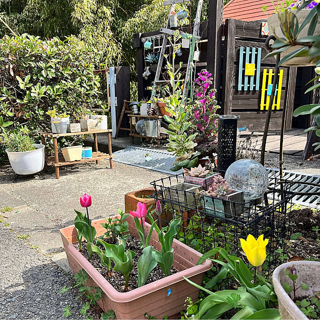 jijiさんの部屋
