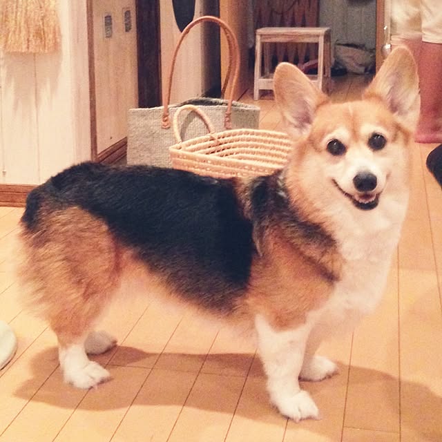 kumiさんの実例写真