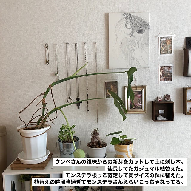daifuku3yadeさんの部屋
