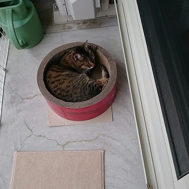 lilyさんの実例写真