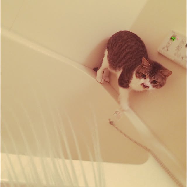 threeさんの実例写真