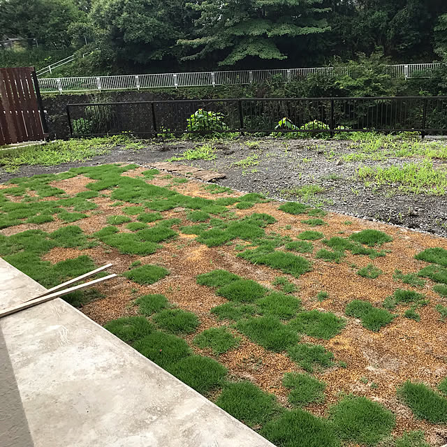 Y.Uniさんの実例写真