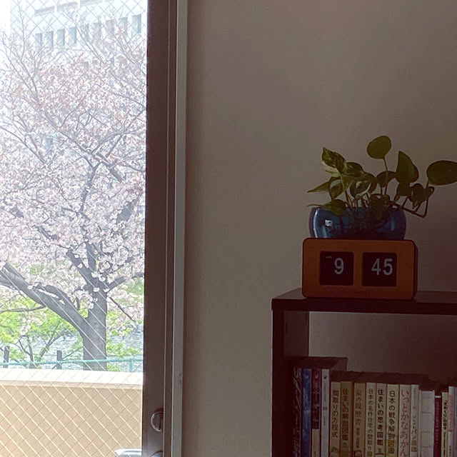 marukoさんの実例写真