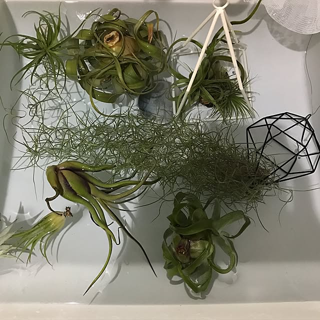 MiRiderさんの実例写真