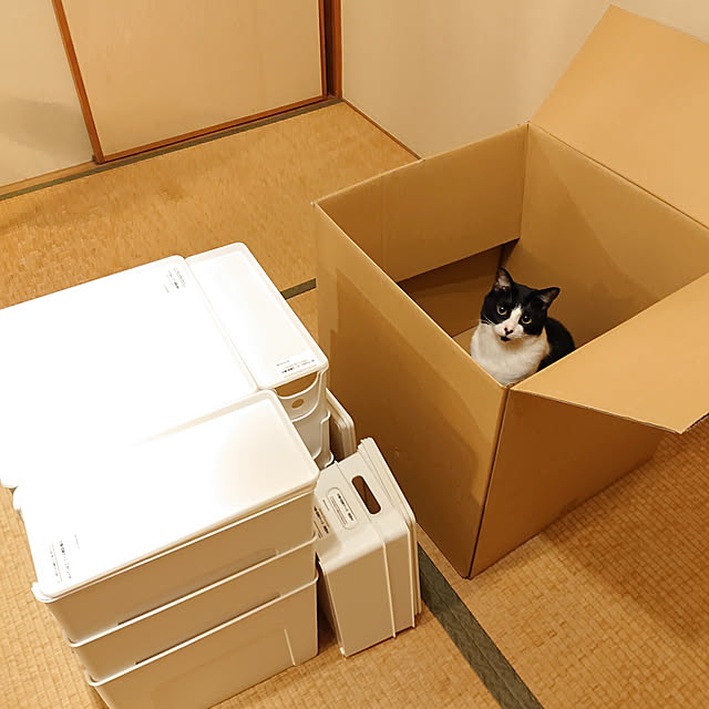 okyosan101さんの実例写真