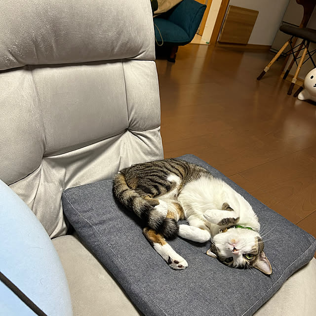 nacchi4さんの部屋