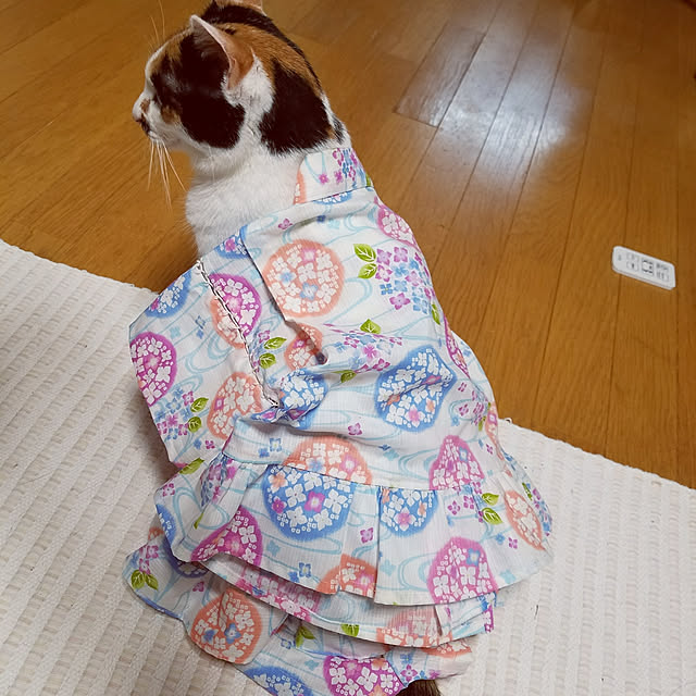 Kinanさんの実例写真