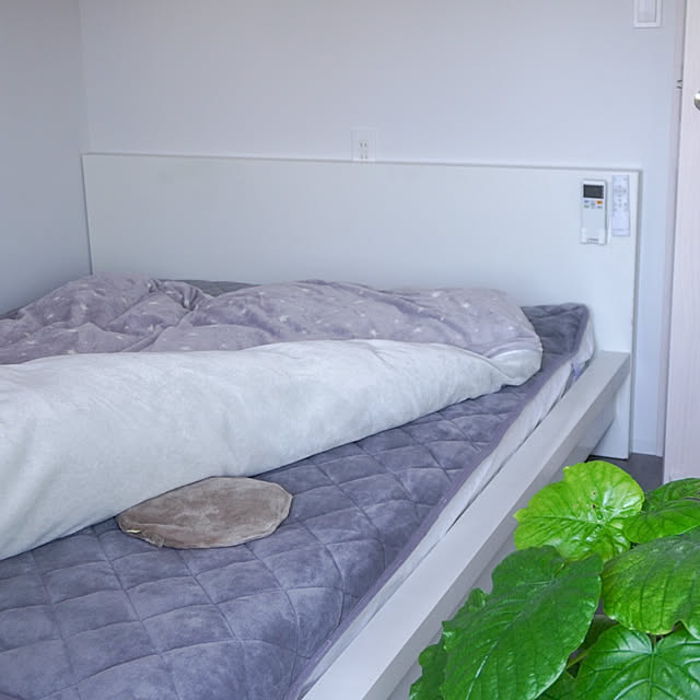 Saraさんの実例写真