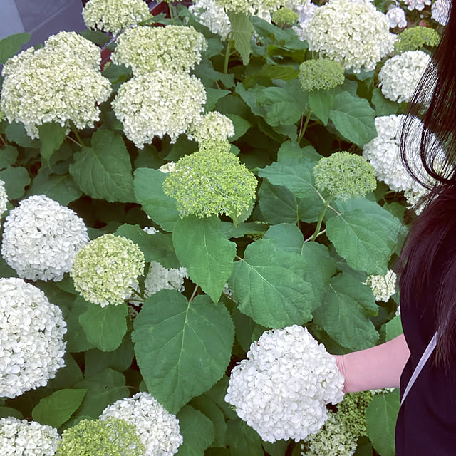 mami.suke0221さんの実例写真
