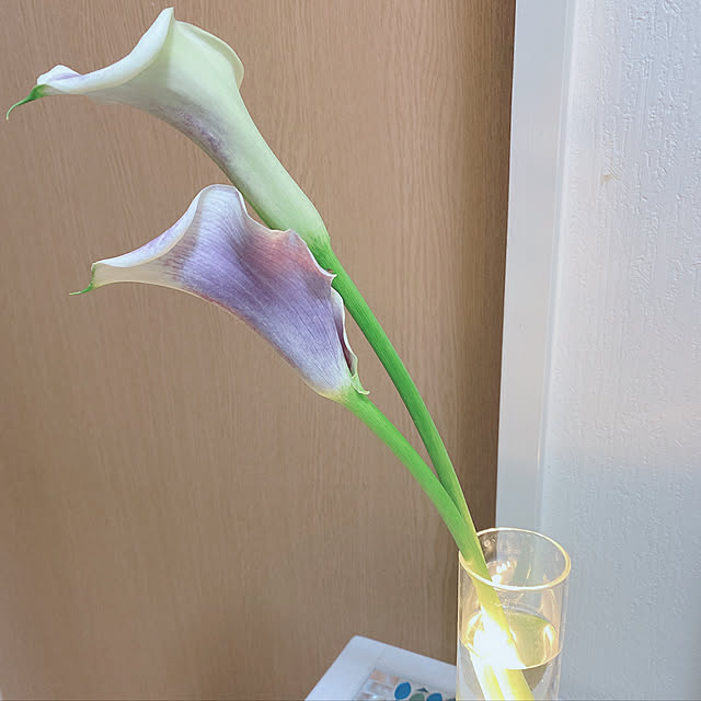 miiyuさんの実例写真