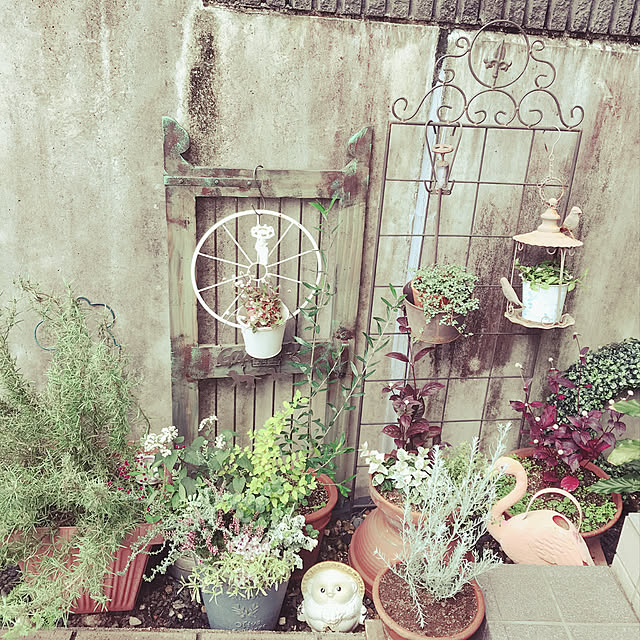 HANAさんの実例写真