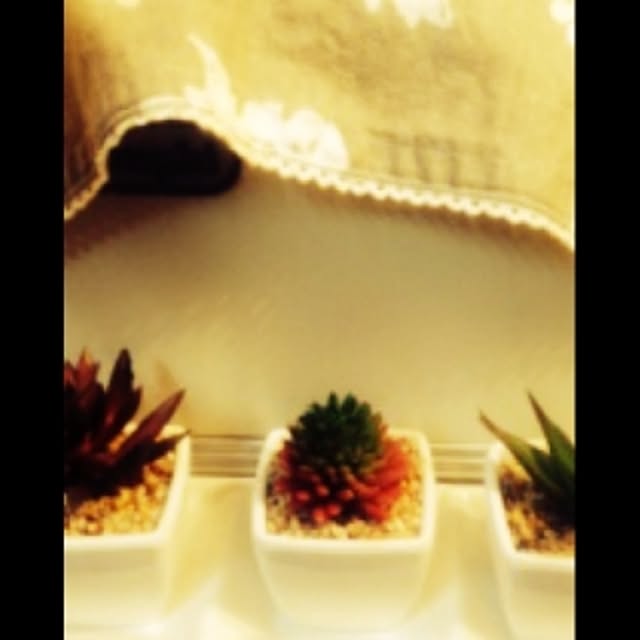 Naokoさんの実例写真