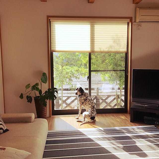 mm319さんの実例写真