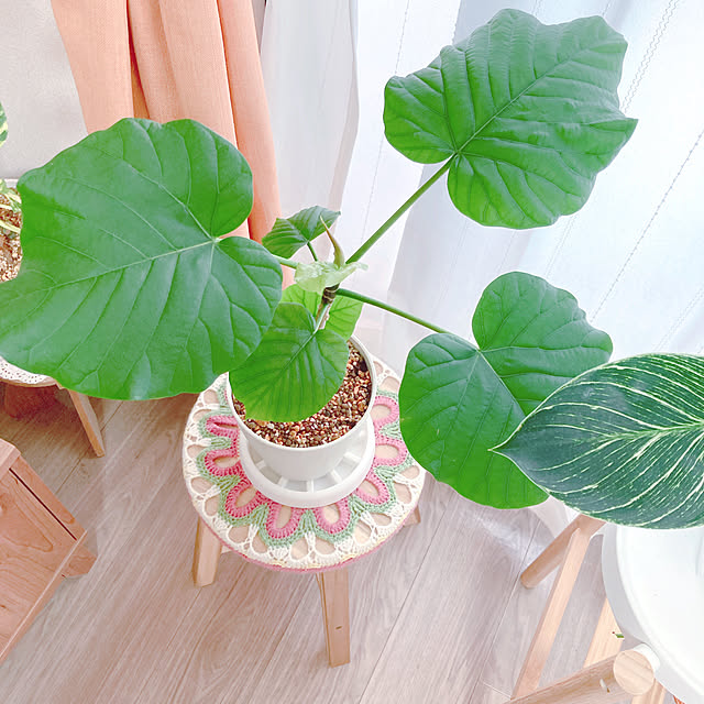 yuyuさんの部屋
