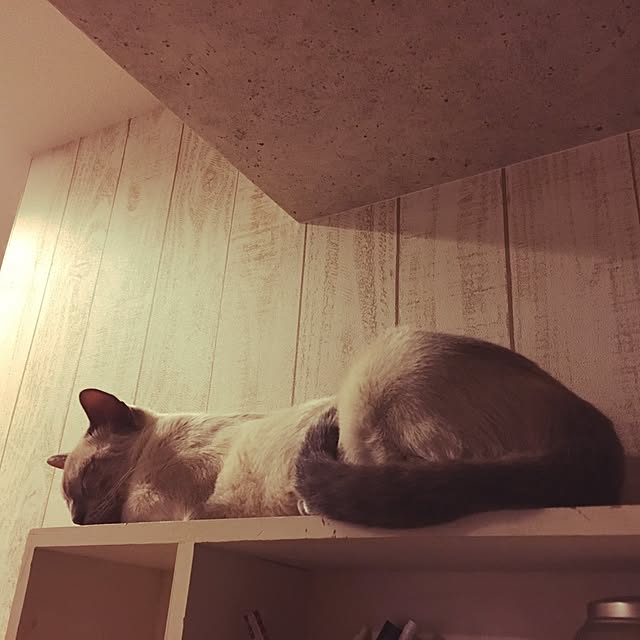 niko-25さんの実例写真