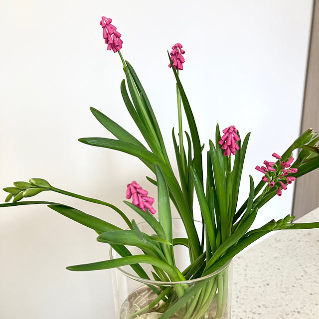 maki_papercraftさんの実例写真