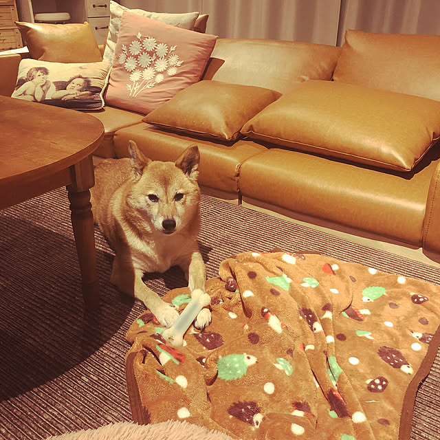 Arinoさんの実例写真