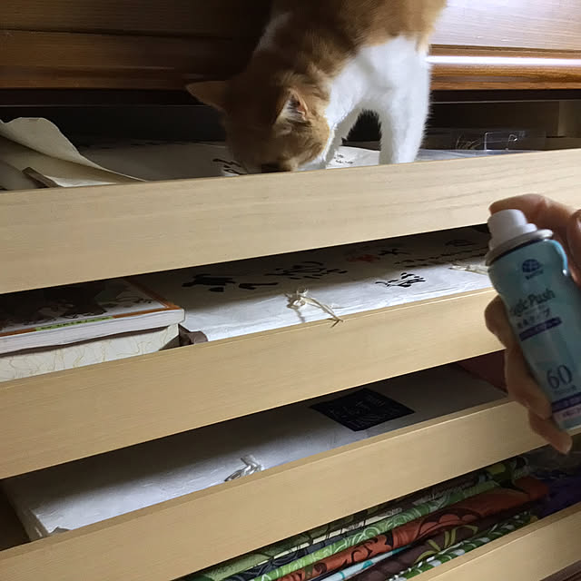 houenさんの部屋