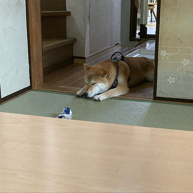 luckyさんの実例写真