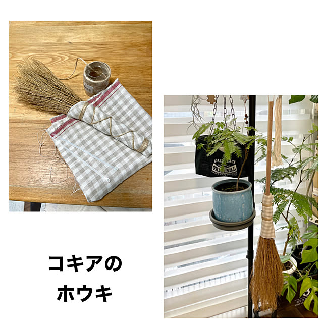 asako.10さんの実例写真