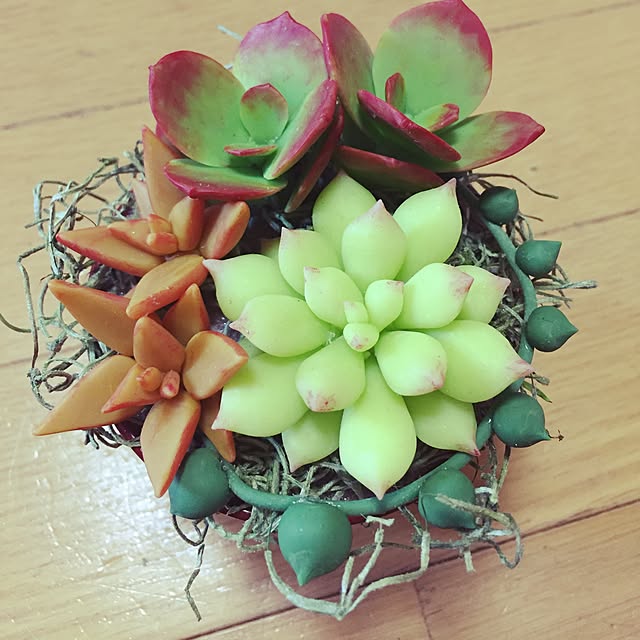 piyoさんの実例写真