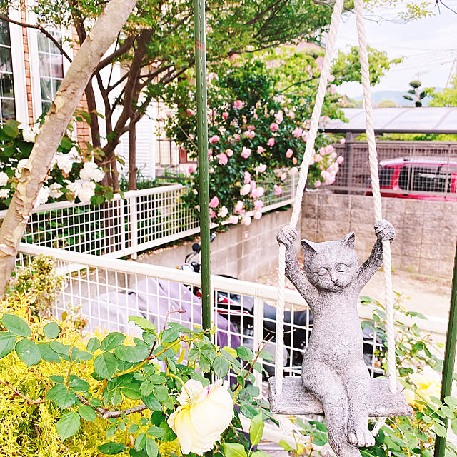 maron.maron1013さんの実例写真