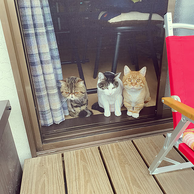 touchinさんの実例写真