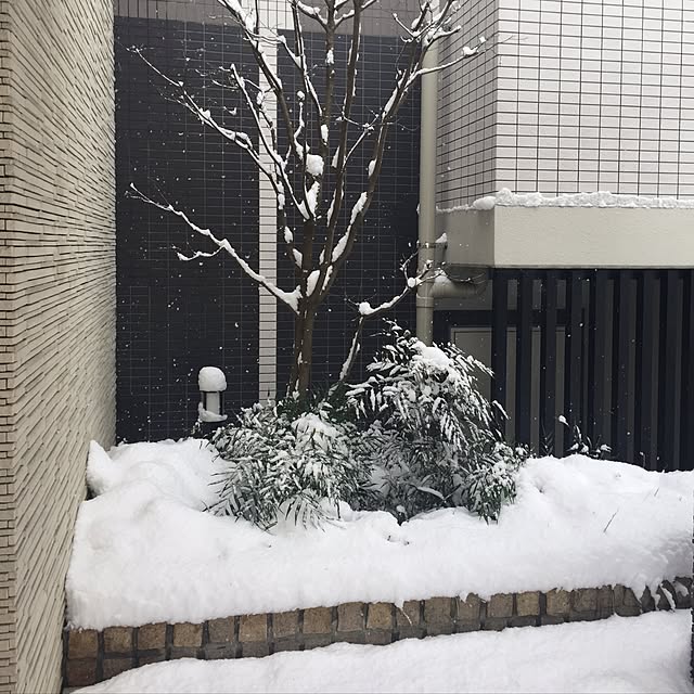 NSB0000さんの実例写真
