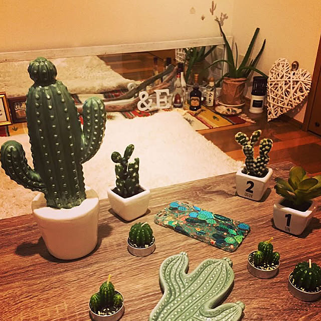 部屋全体/cactus/サボテン/カリフォルニア/一人暮らし...などのインテリア実例 - 2017-08-31 23:48:01