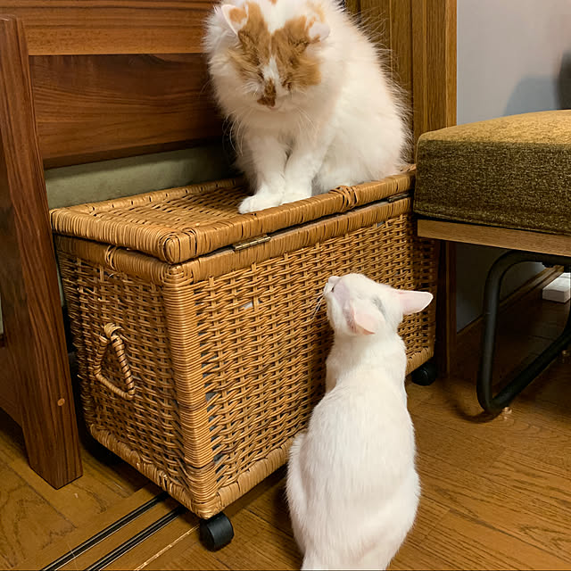 keiさんの実例写真