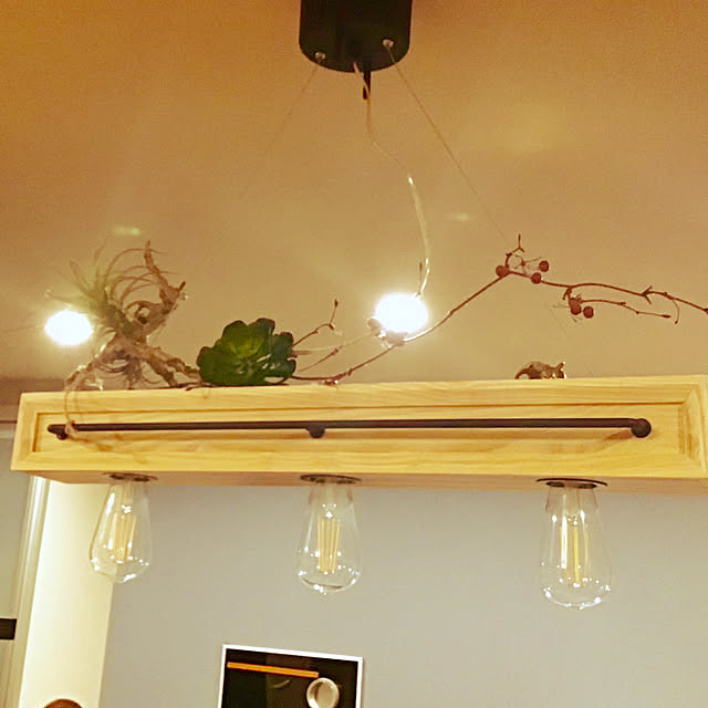 キッチン/ナチュラル/カフェ風/観葉植物のインテリア実例 - 2019-01-28 14:18:29