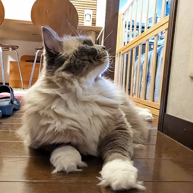 trickxtrapさんの部屋