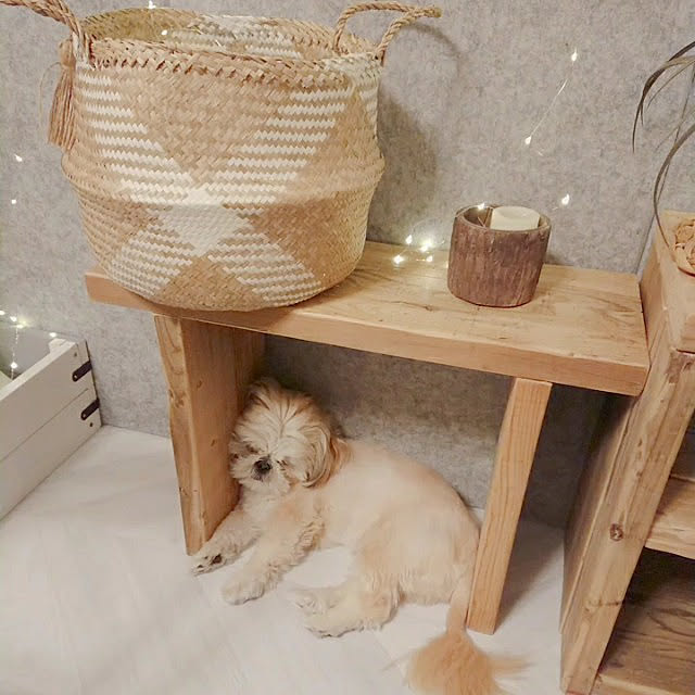 yukagomaさんの実例写真