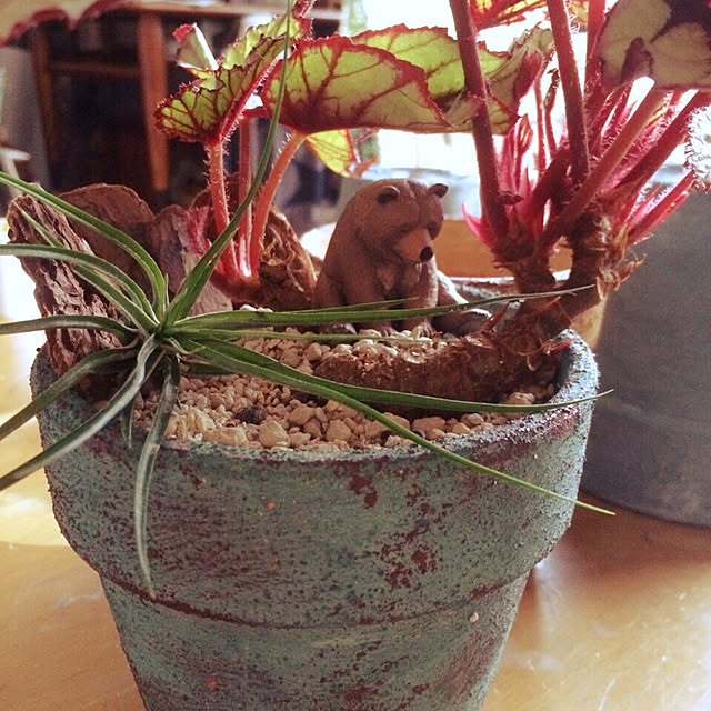 885さんの実例写真