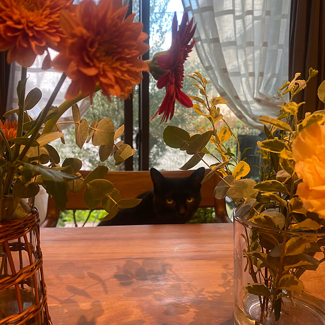 taakoさんの部屋