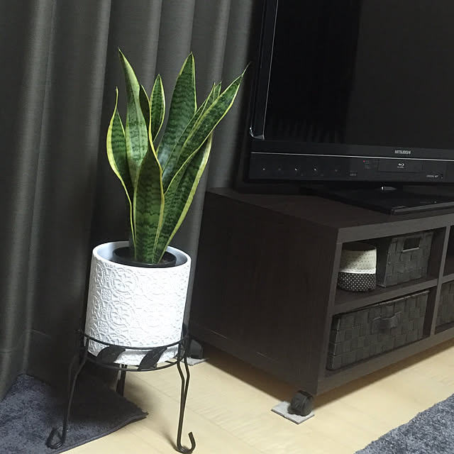 ROSEさんの実例写真