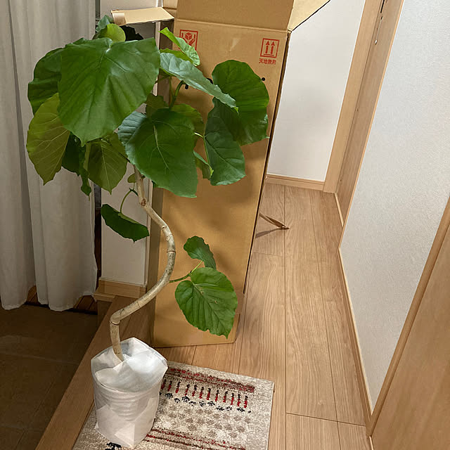 mam24さんの部屋